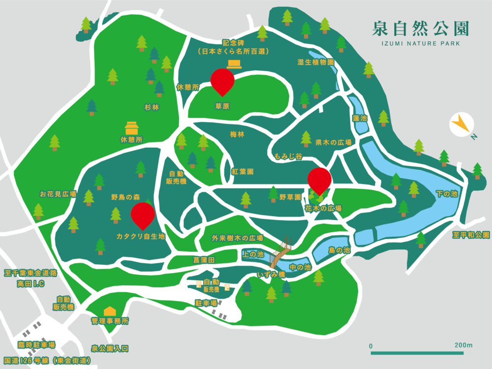 キビタキの地図