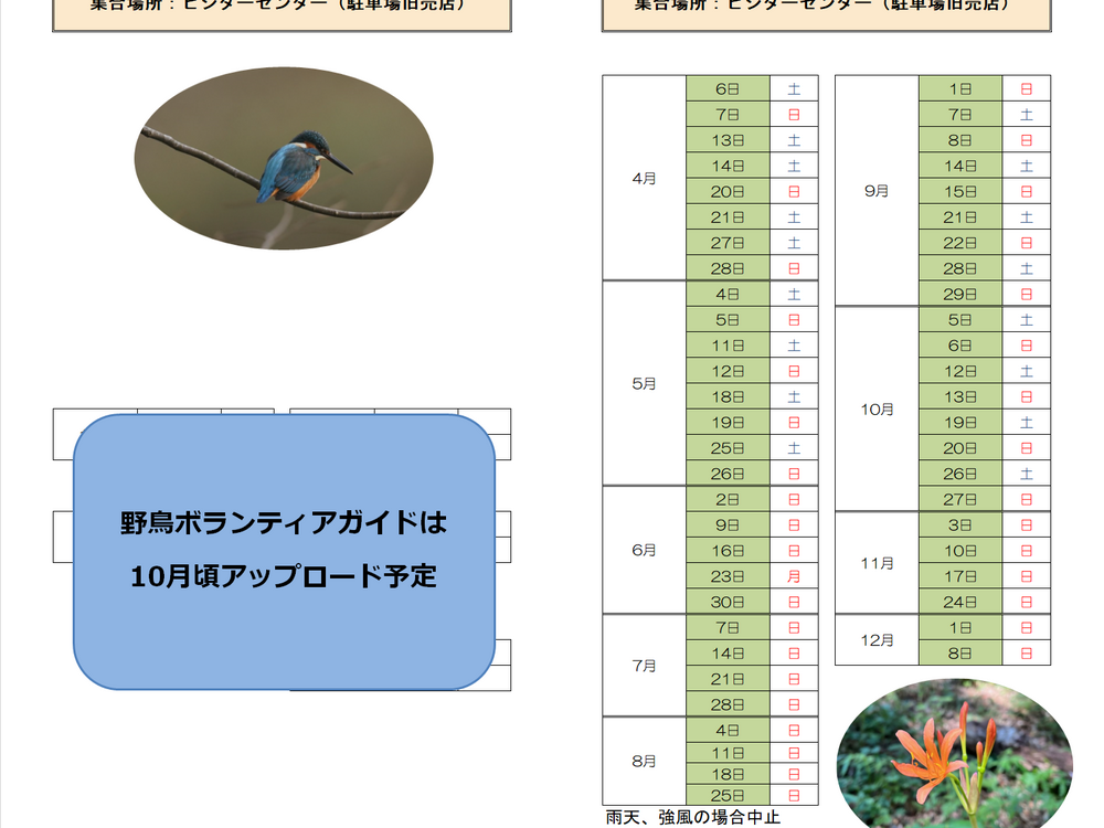 野草ボランティアガイド