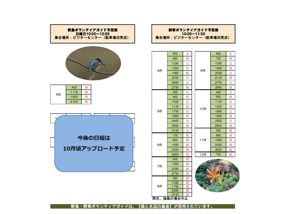 野鳥・野草ボランティアガイド 年間スケジュール