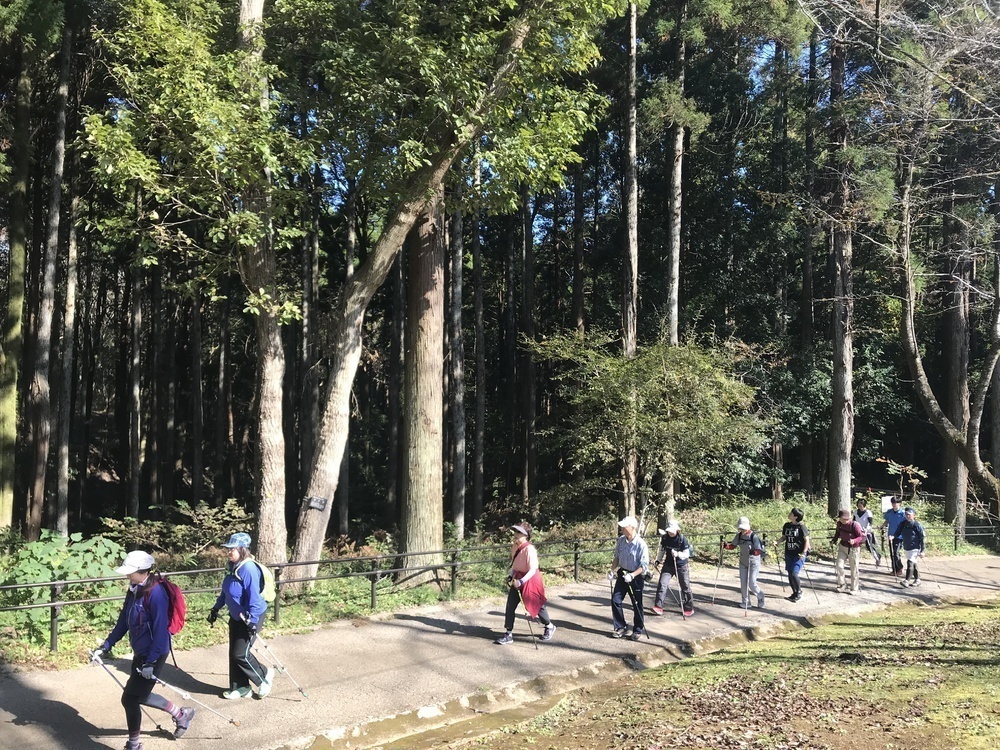 ノルディックウォーク ノルディックウォーク