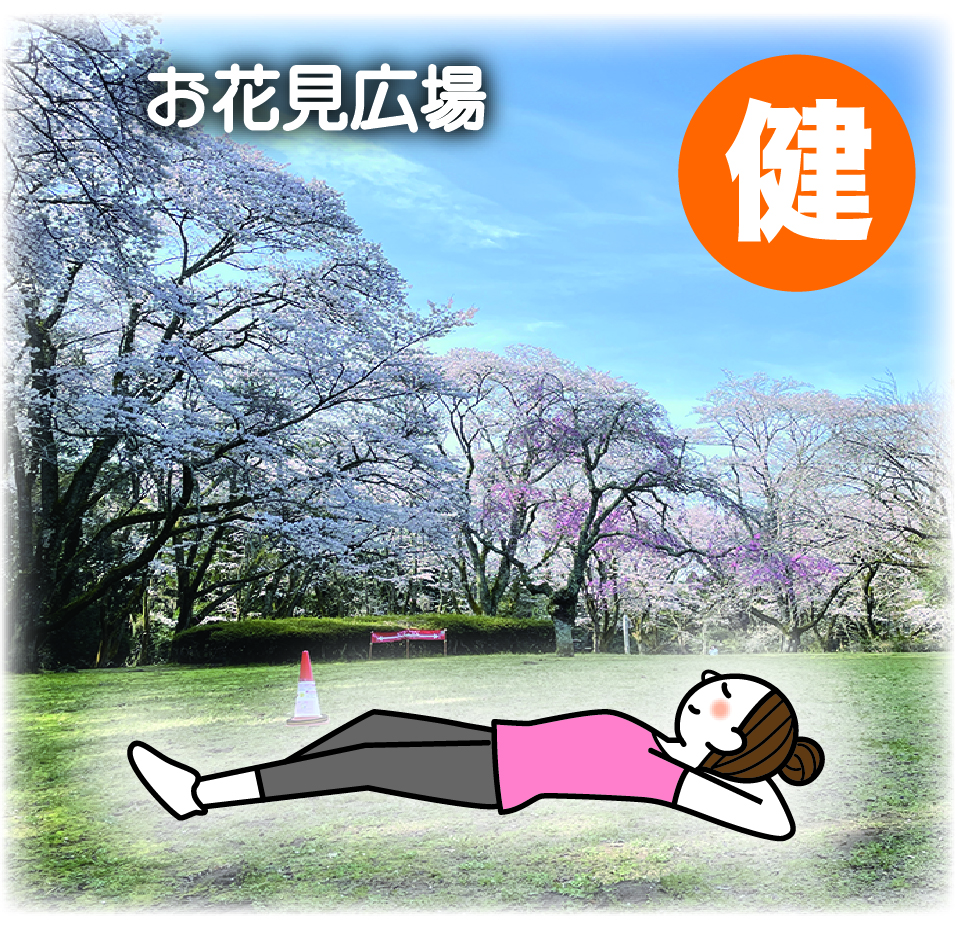 ③桜の大木を眺めて寝転びリラックス